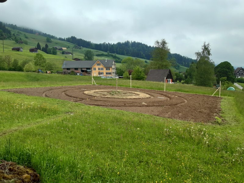 gal/diverses/Allmenweg/Fotos Heinz/Allmengarten Evolution/20200514_135357.jpg